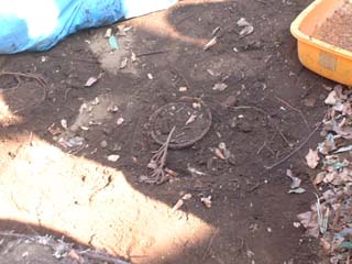 �D�ˌÕ��Q��