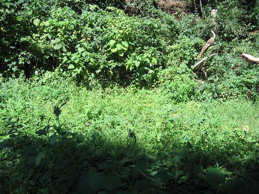 �s������