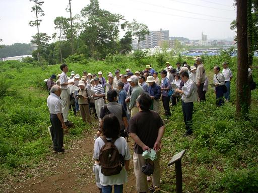 �����Ռ�