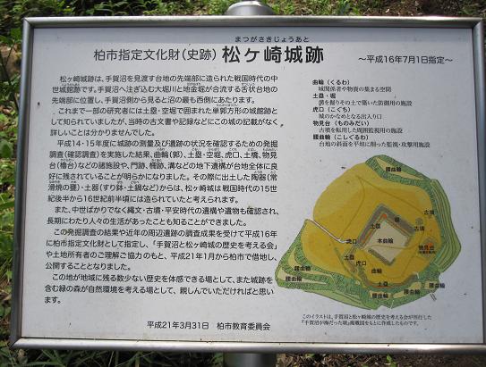 �����Ռ��t�߂ɂ���Ŕ�