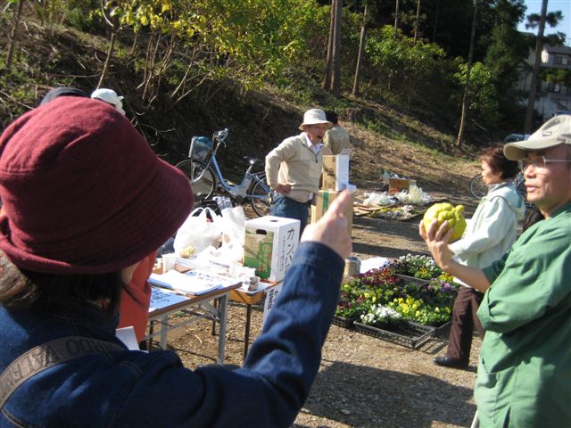 ��̊��k��