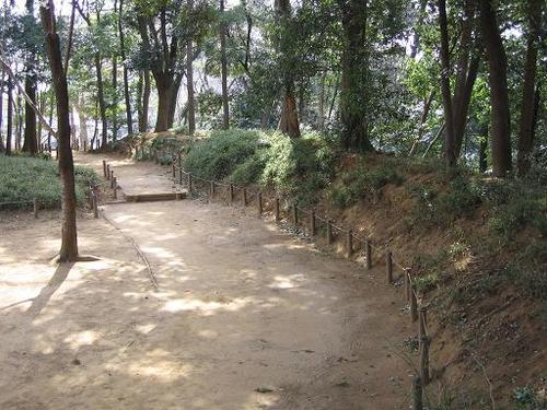 �������̊s