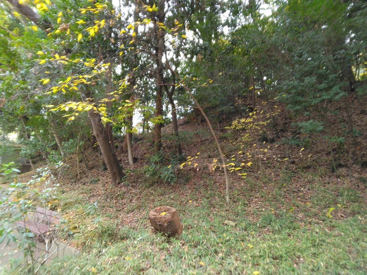 �������"